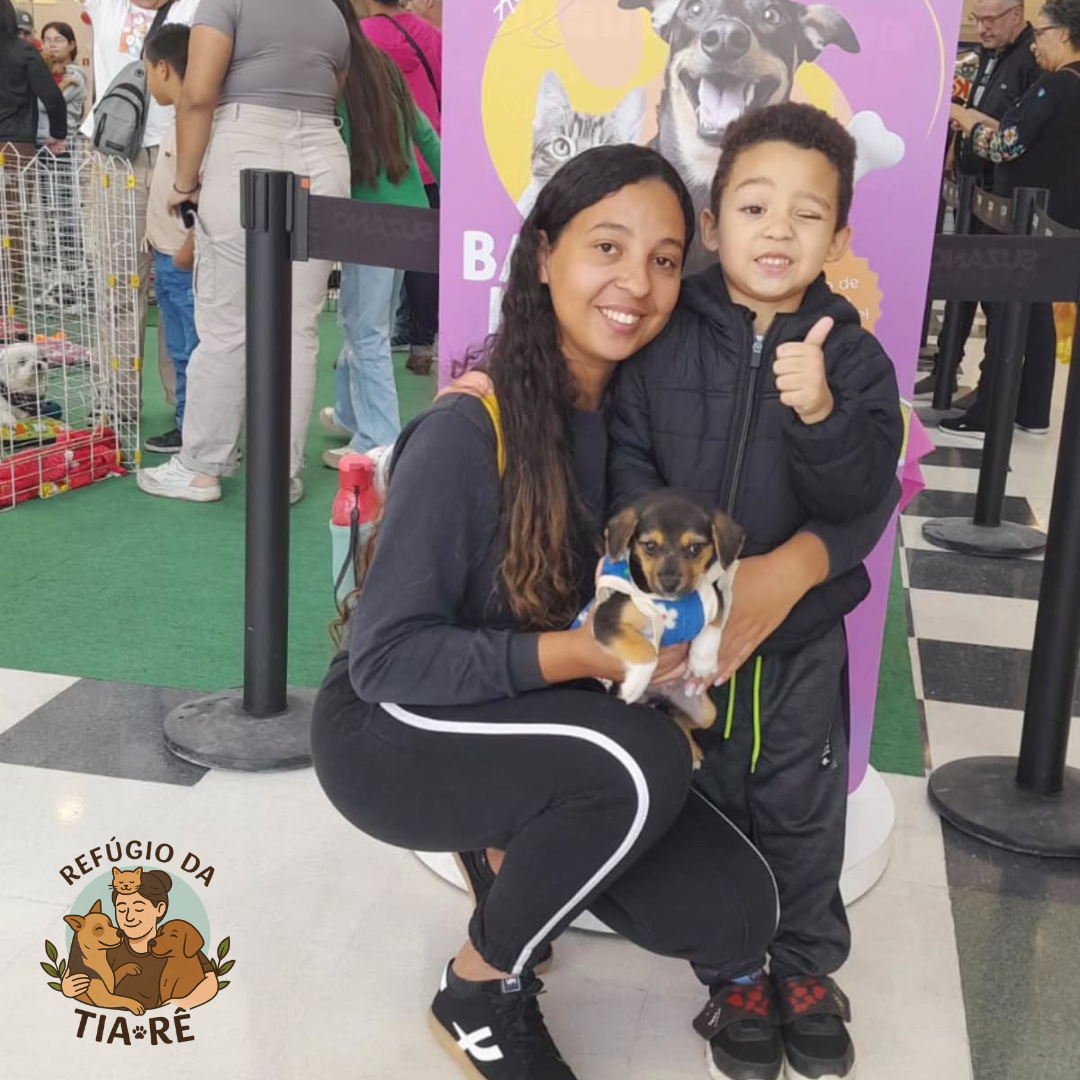 Foto da Ana Costa com seu filho e o cachorro Simba adotado