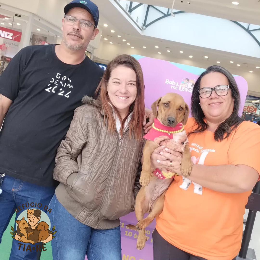 Foto do Carlos Oliveira com sua família e cachorro adotado